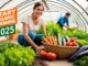 Organic Farming Business