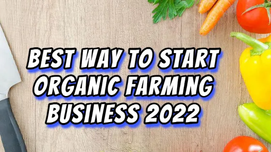 Best Way to Start Organic Farming Business 2022
