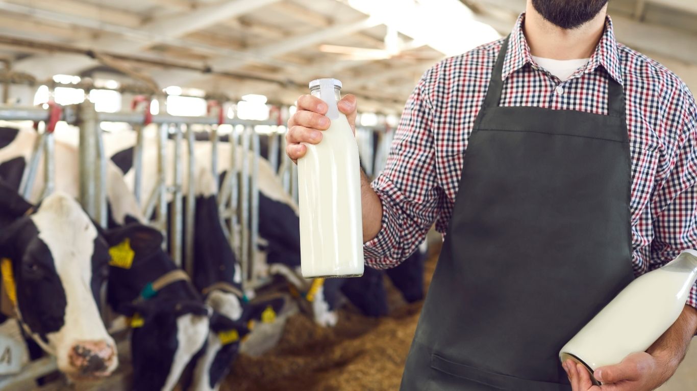 10 Best Small Business Ideas In Gujarat