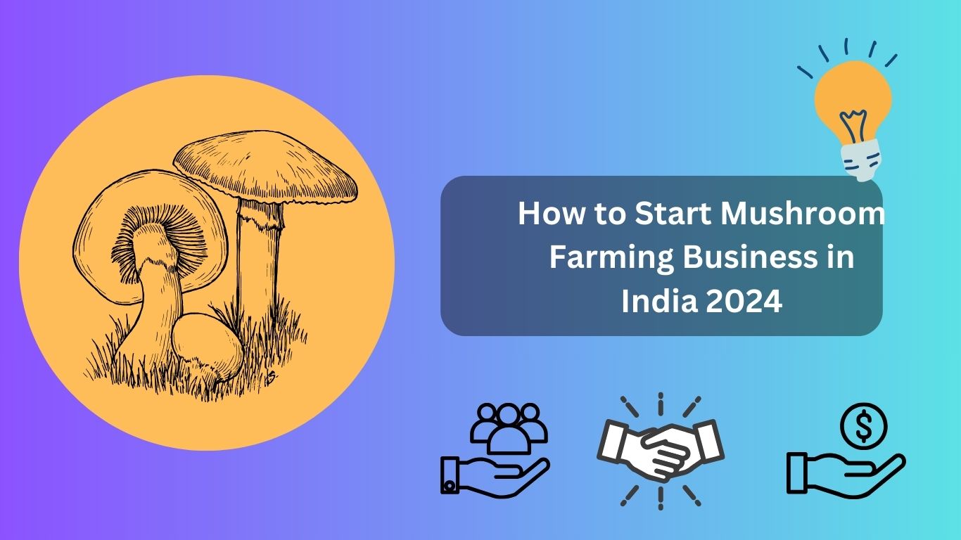 How to Start Mushroom Farming Business in India 2024